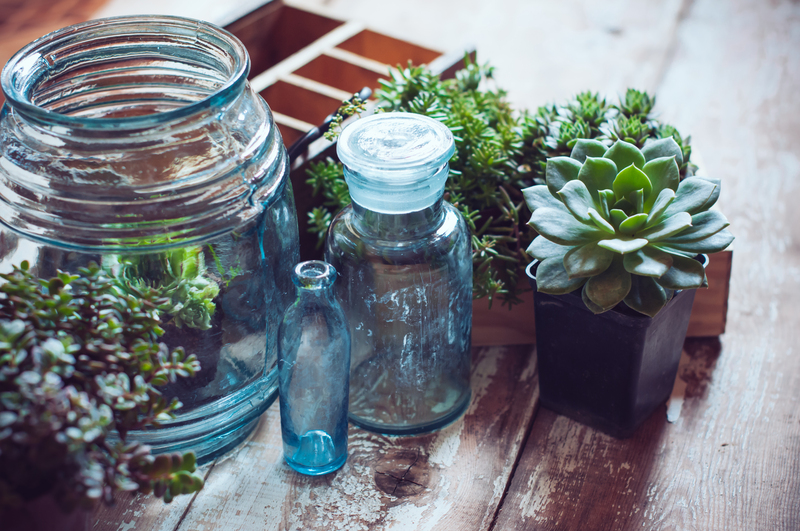 Home Garden