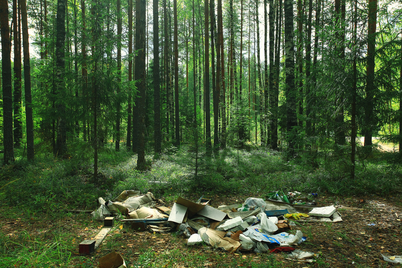 waste collection home